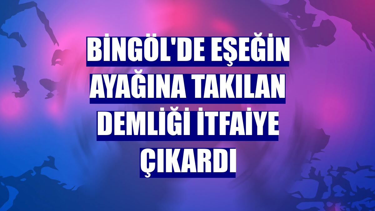 Bingöl'de eşeğin ayağına takılan demliği itfaiye çıkardı