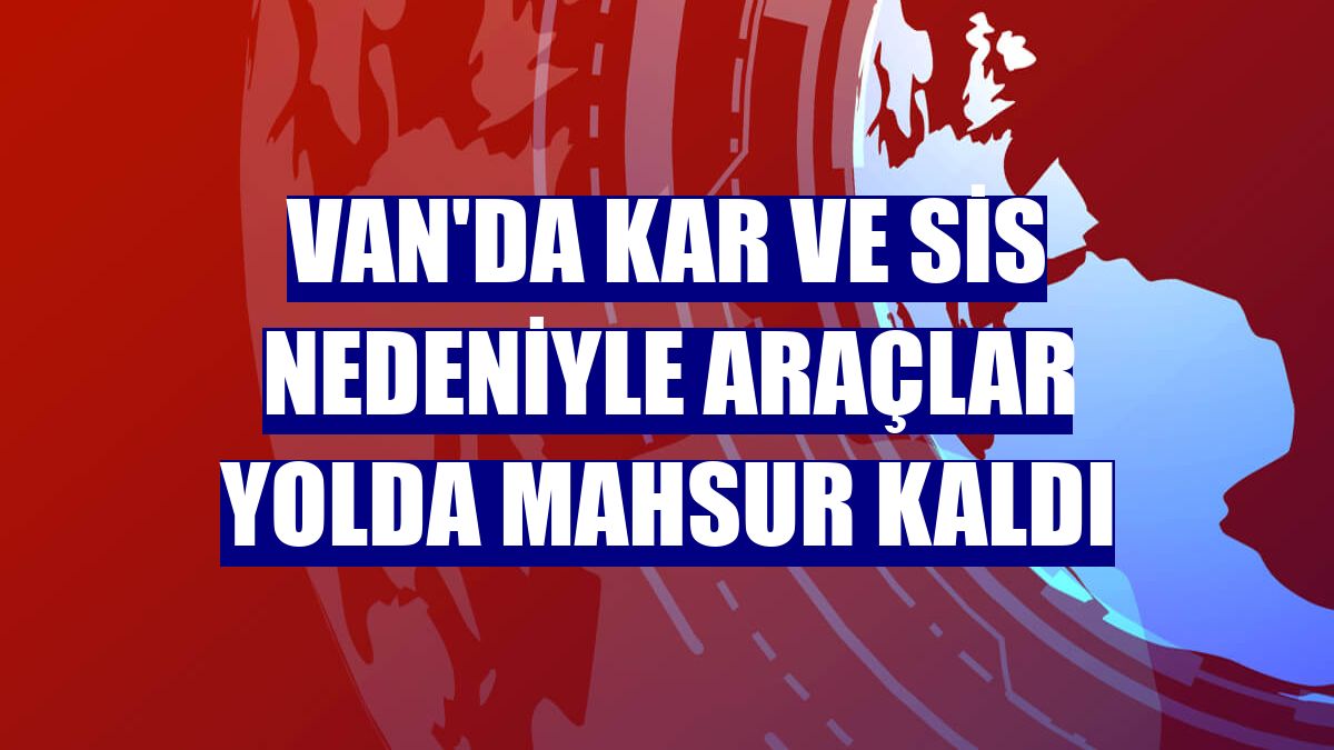 Van'da kar ve sis nedeniyle araçlar yolda mahsur kaldı