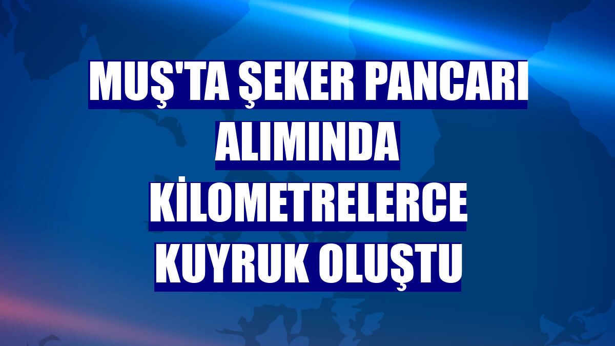 Muş'ta şeker pancarı alımında kilometrelerce kuyruk oluştu