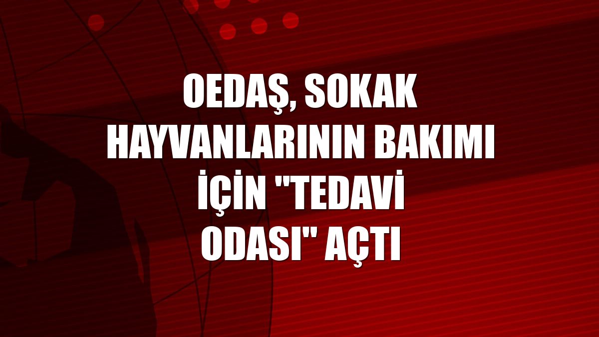 OEDAŞ, sokak hayvanlarının bakımı için "Tedavi Odası" açtı