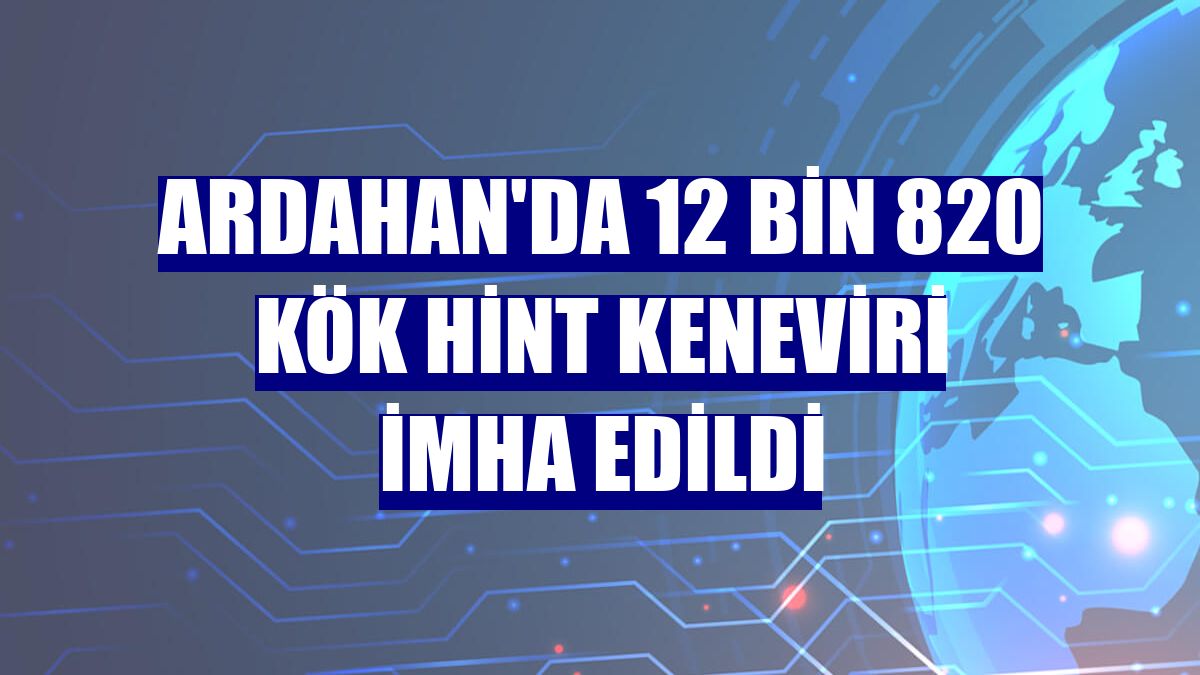 Ardahan'da 12 bin 820 kök Hint keneviri imha edildi