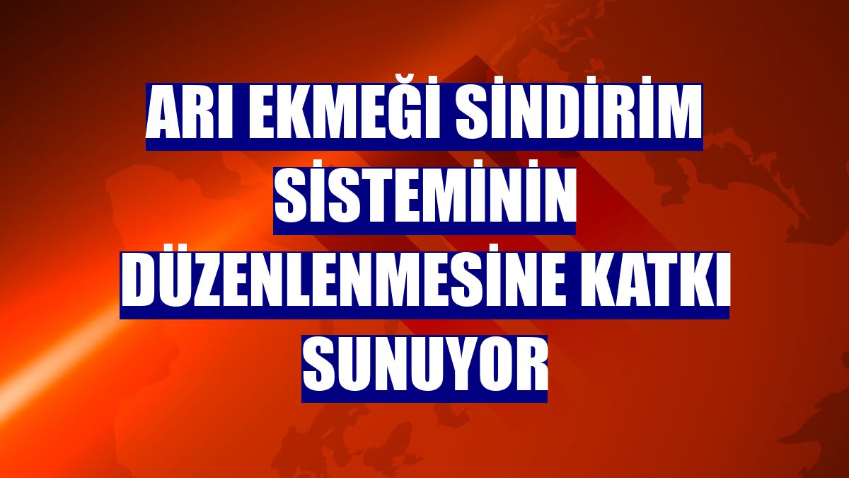Arı ekmeği sindirim sisteminin düzenlenmesine katkı sunuyor