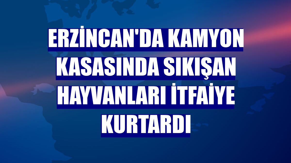 Erzincan'da kamyon kasasında sıkışan hayvanları itfaiye kurtardı