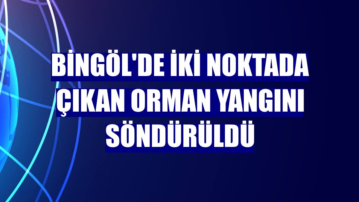 Bingöl'de iki noktada çıkan orman yangını söndürüldü