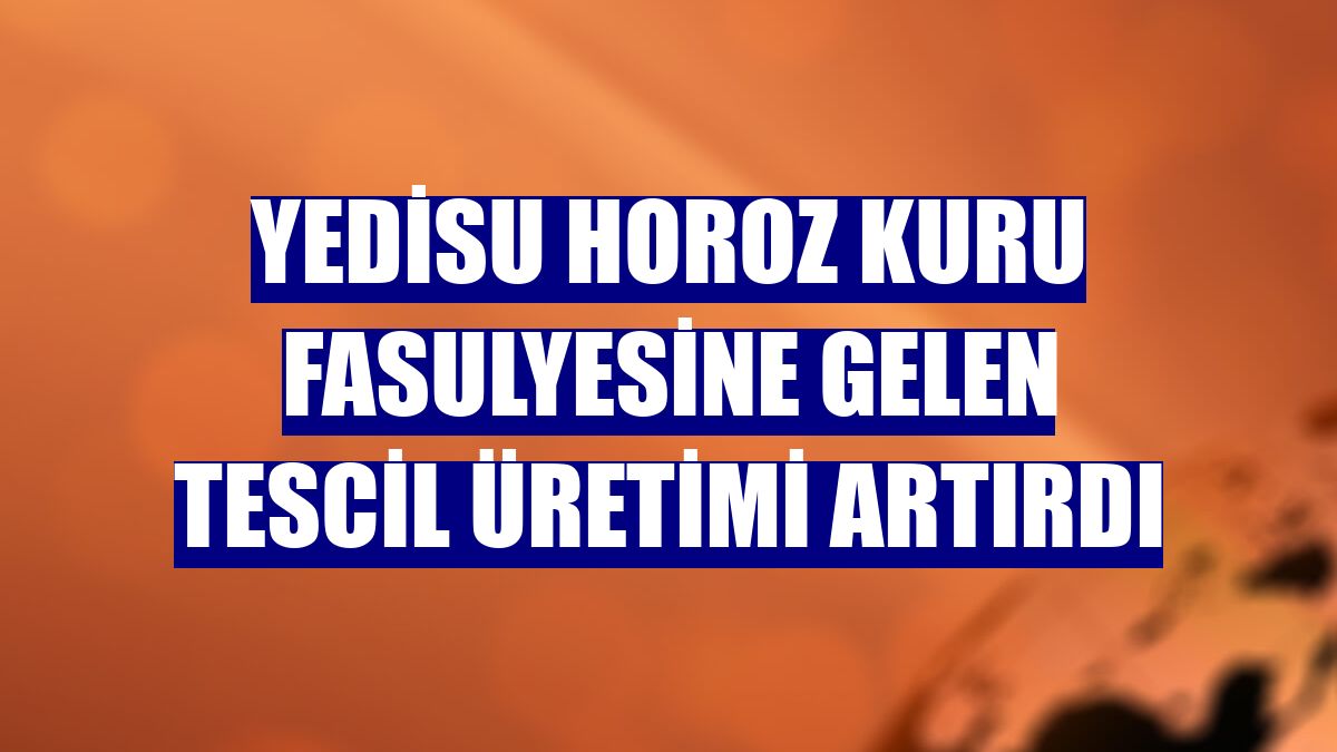 Yedisu horoz kuru fasulyesine gelen tescil üretimi artırdı