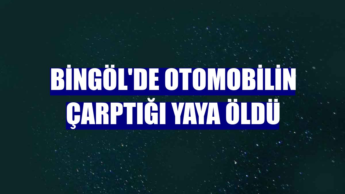 Bingol De Otomobilin Carptigi Yaya Oldu Bingol Haberleri