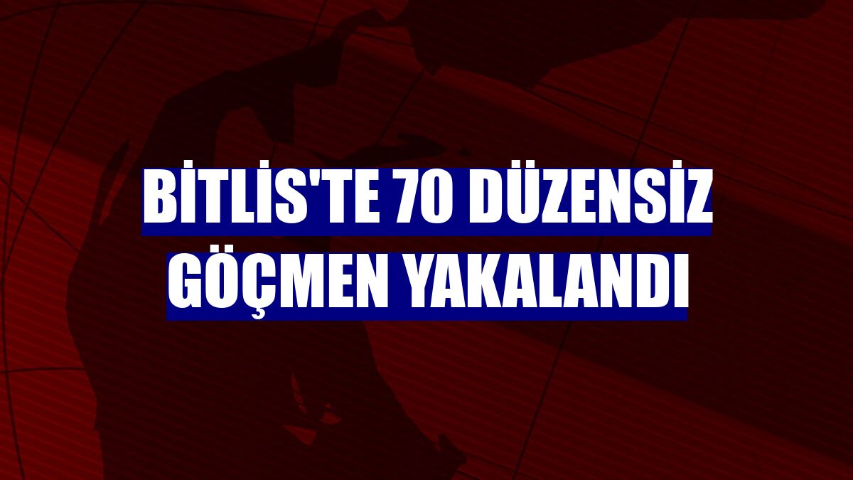 Bitlis'te 70 düzensiz göçmen yakalandı