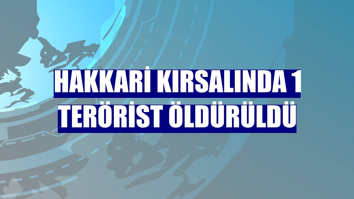 Hakkari kırsalında 1 terörist öldürüldü