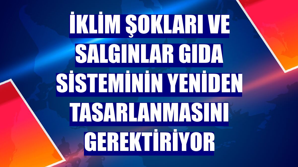 İklim şokları ve salgınlar gıda sisteminin yeniden tasarlanmasını gerektiriyor