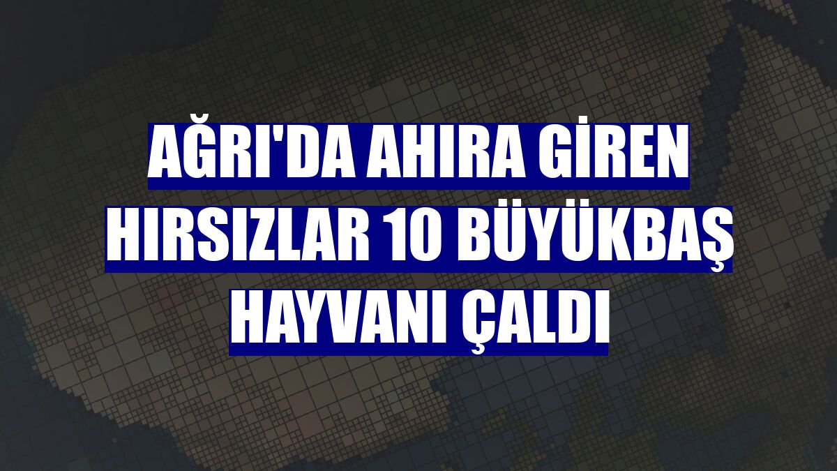 Ağrı'da ahıra giren hırsızlar 10 büyükbaş hayvanı çaldı