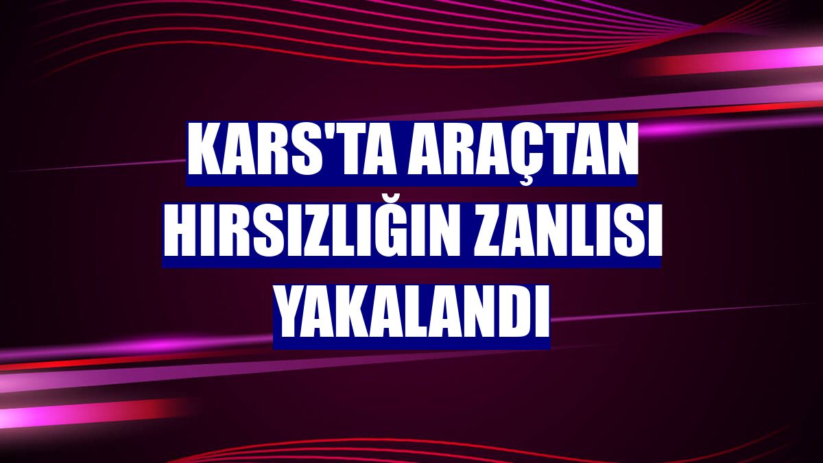 Kars'ta araçtan hırsızlığın zanlısı yakalandı