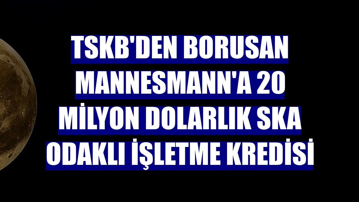 TSKB'den Borusan Mannesmann'a 20 milyon dolarlık SKA odaklı işletme kredisi