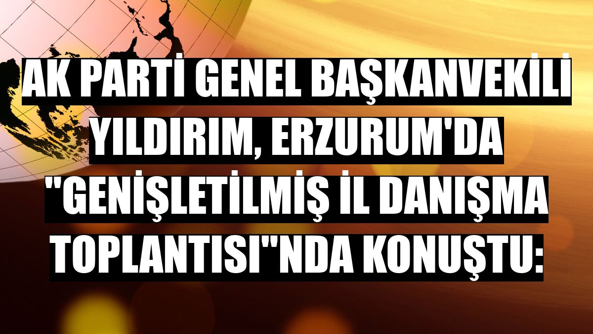 AK Parti Genel Başkanvekili Yıldırım, Erzurum'da 'Genişletilmiş İl Danışma Toplantısı'nda konuştu: