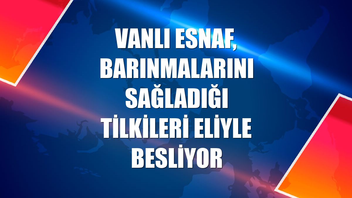 Vanlı esnaf, barınmalarını sağladığı tilkileri eliyle besliyor