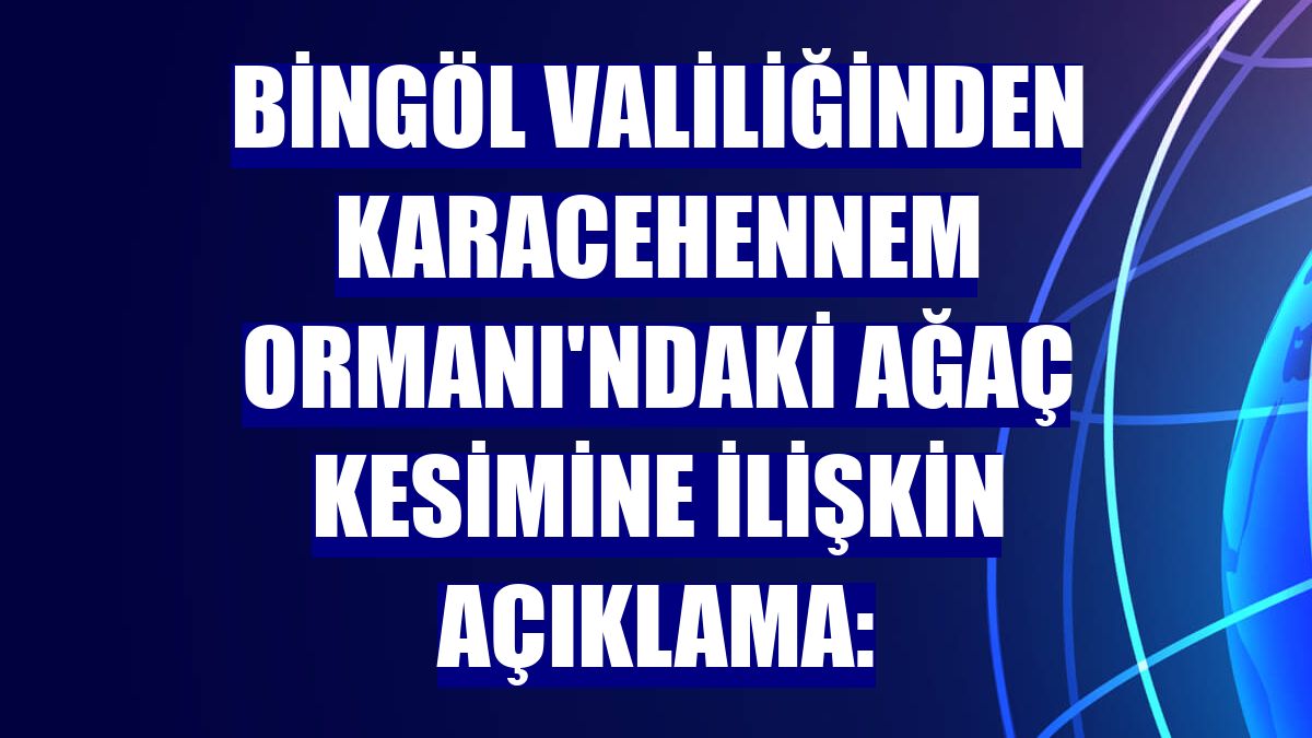 Bingöl Valiliğinden Karacehennem Ormanı'ndaki ağaç kesimine ilişkin açıklama: