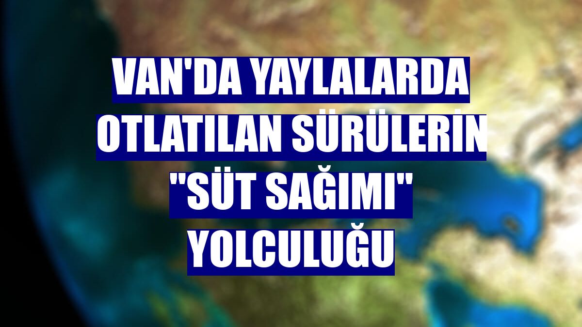 Van'da yaylalarda otlatılan sürülerin "süt sağımı" yolculuğu