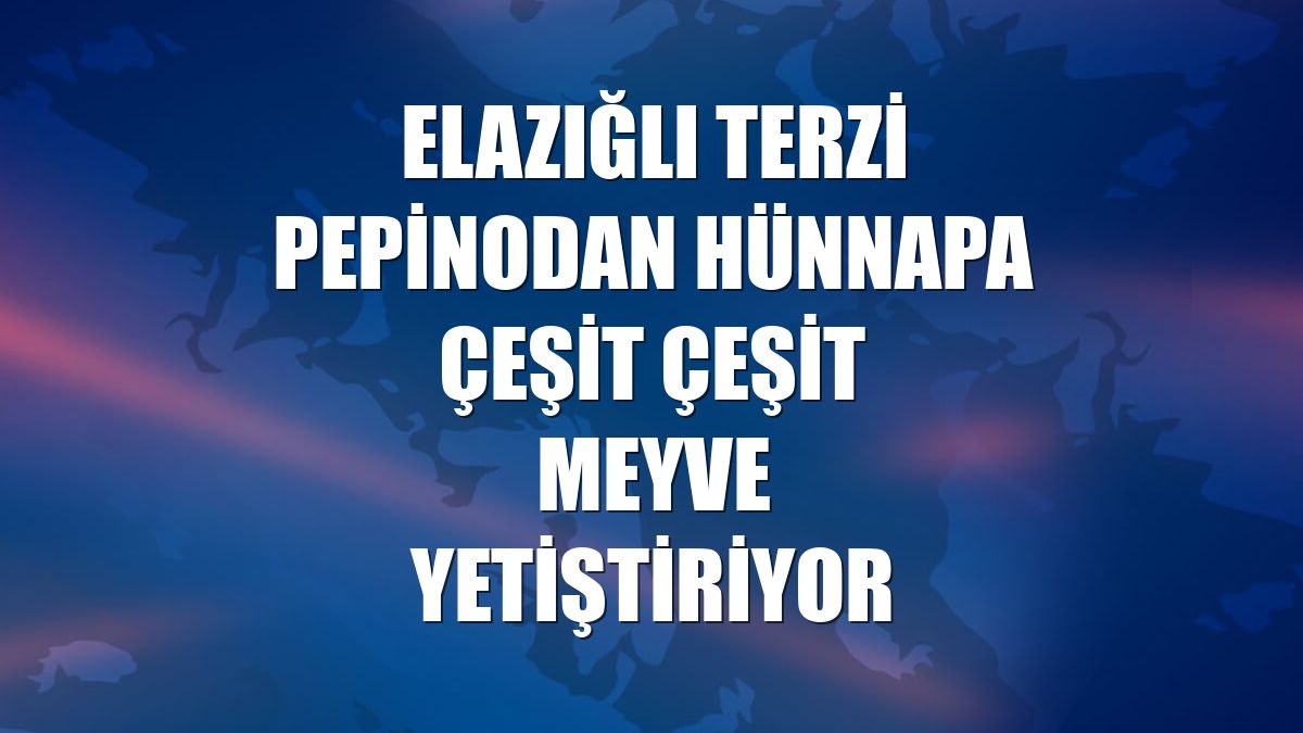 Elazığlı terzi pepinodan hünnapa çeşit çeşit meyve yetiştiriyor