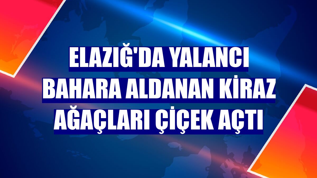 Elazığ'da yalancı bahara aldanan kiraz ağaçları çiçek açtı