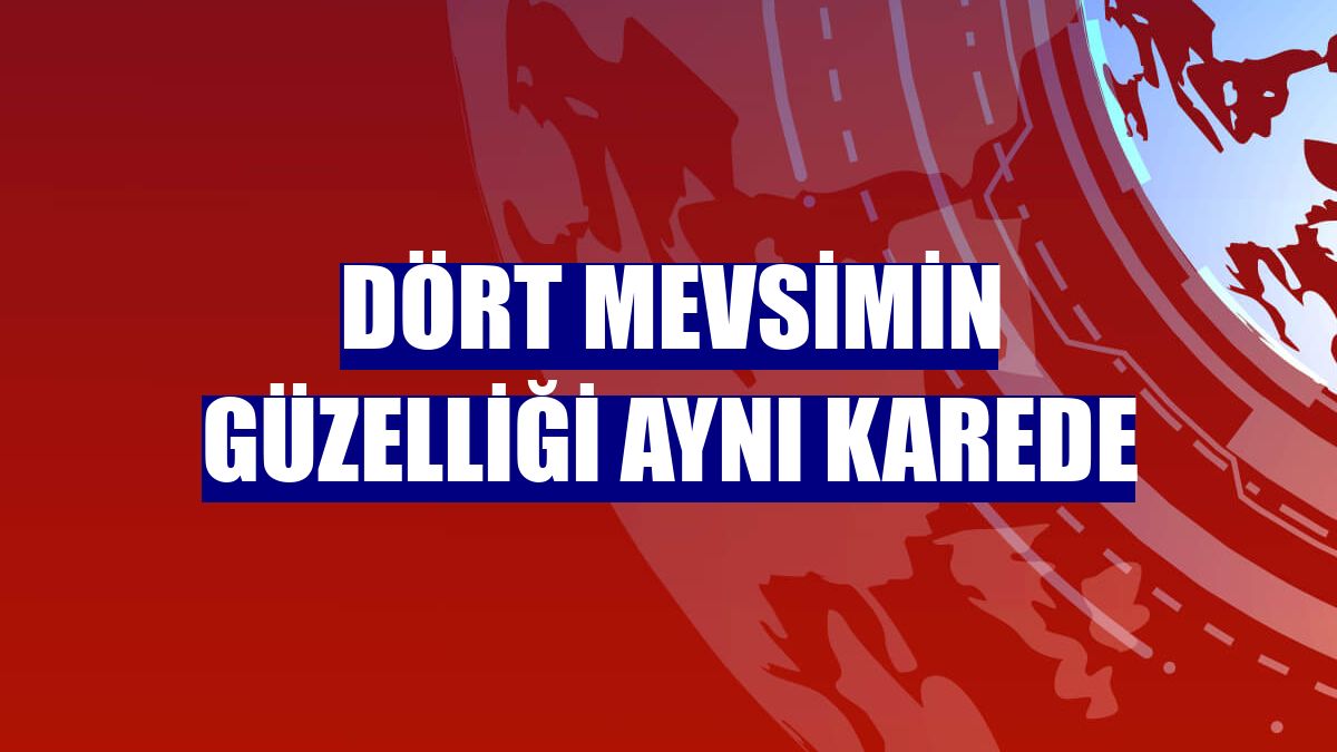 Dört mevsimin güzelliği aynı karede