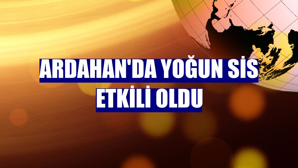 Ardahan'da yoğun sis etkili oldu