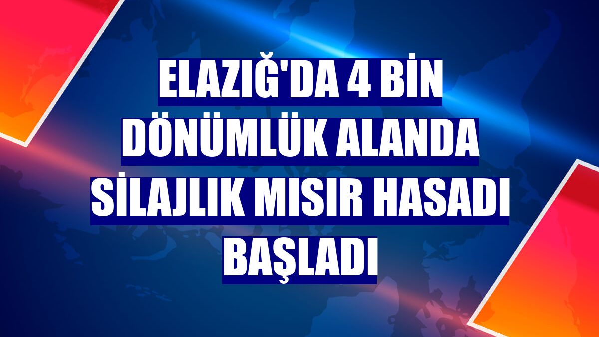 Elazığ'da 4 bin dönümlük alanda silajlık mısır hasadı başladı