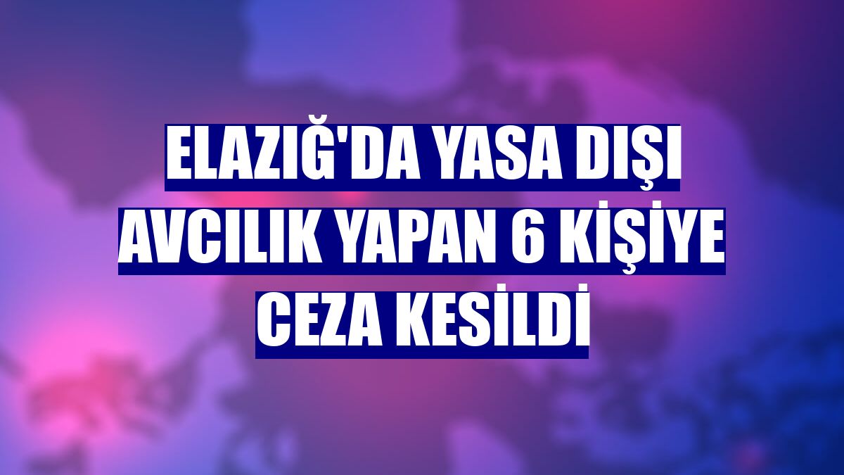 Elazığ'da yasa dışı avcılık yapan 6 kişiye ceza kesildi
