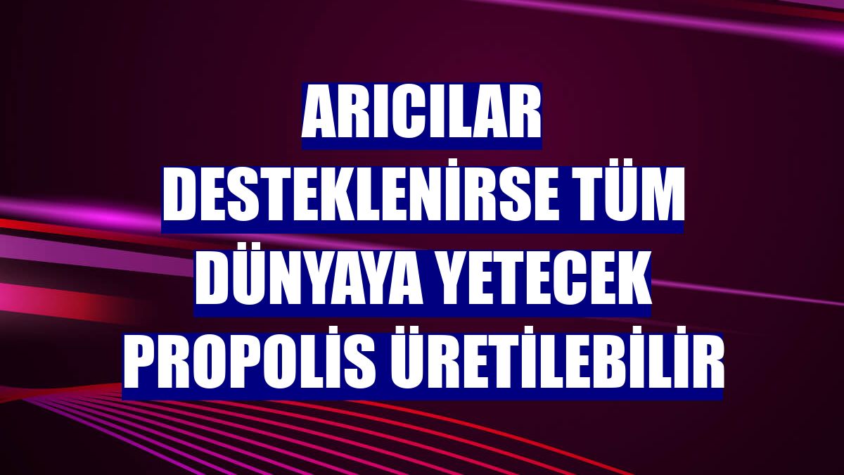 Arıcılar desteklenirse tüm dünyaya yetecek propolis üretilebilir