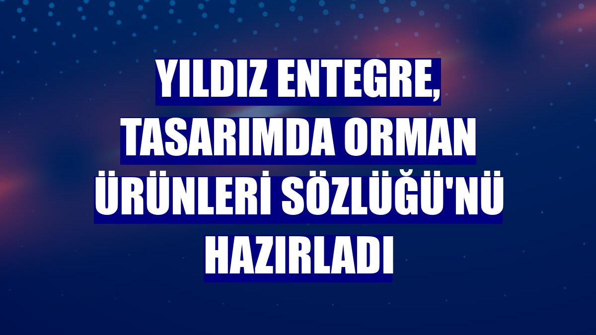 Yıldız Entegre, Tasarımda Orman Ürünleri Sözlüğü'nü hazırladı