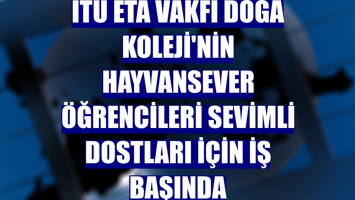 İTÜ ETA Vakfı Doğa Koleji'nin hayvansever öğrencileri sevimli dostları için iş başında