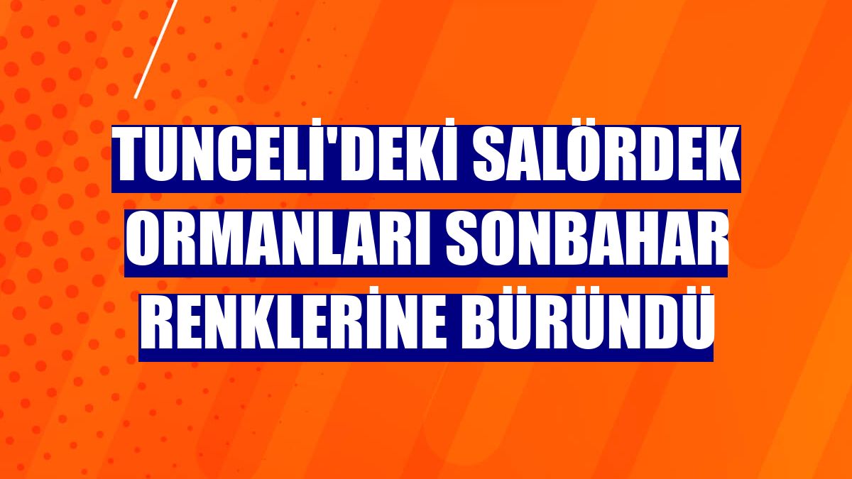 Tunceli'deki Salördek ormanları sonbahar renklerine büründü