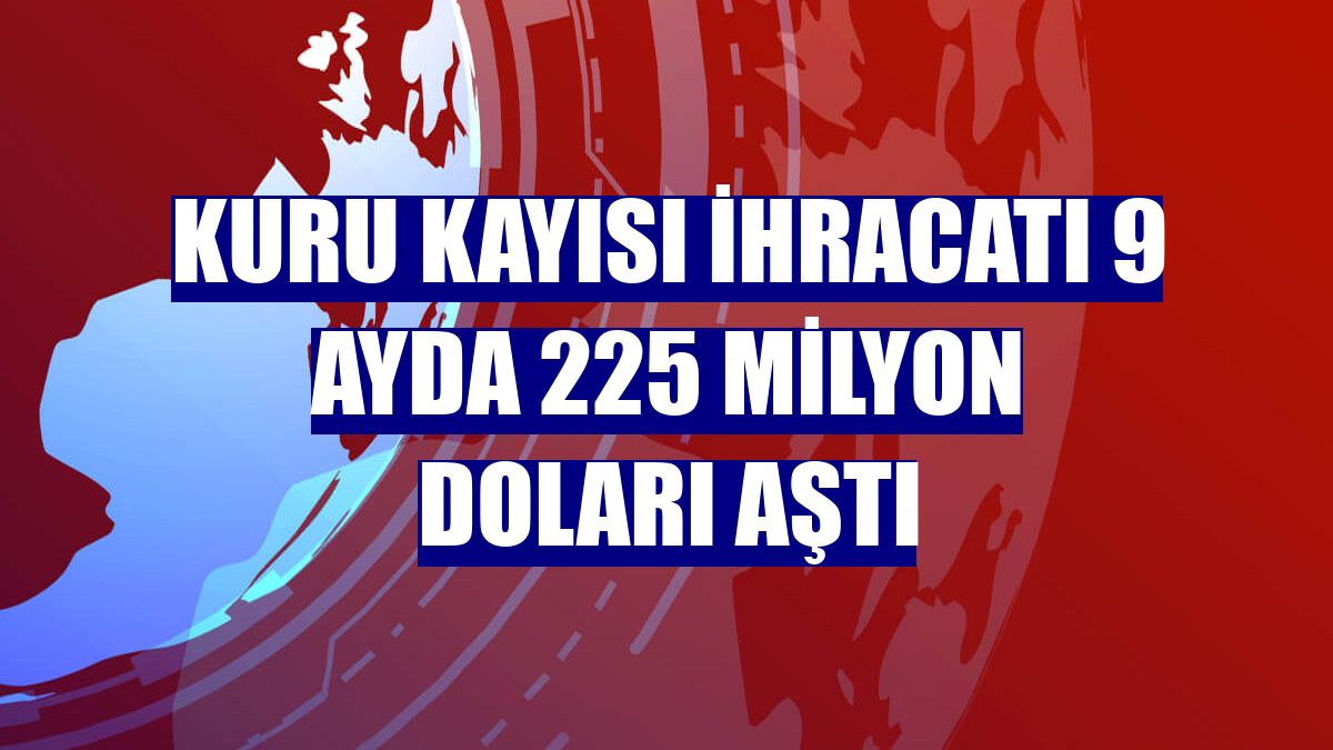 Kuru kayısı ihracatı 9 ayda 225 milyon doları aştı