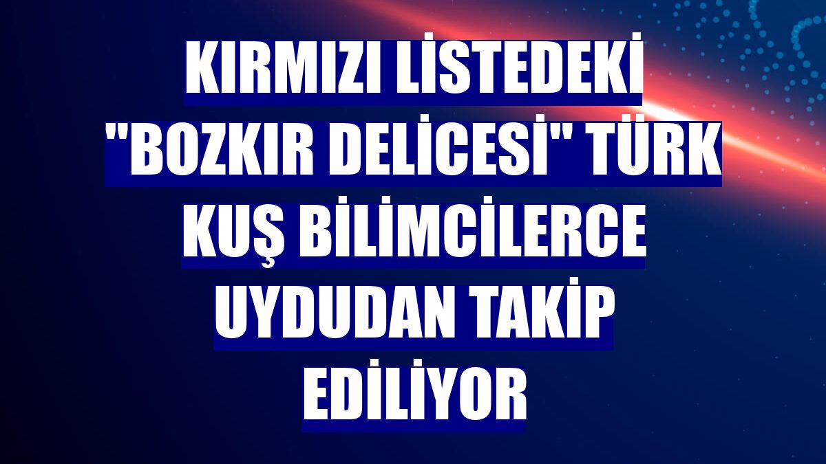 Kırmızı listedeki "bozkır delicesi" Türk kuş bilimcilerce uydudan takip ediliyor