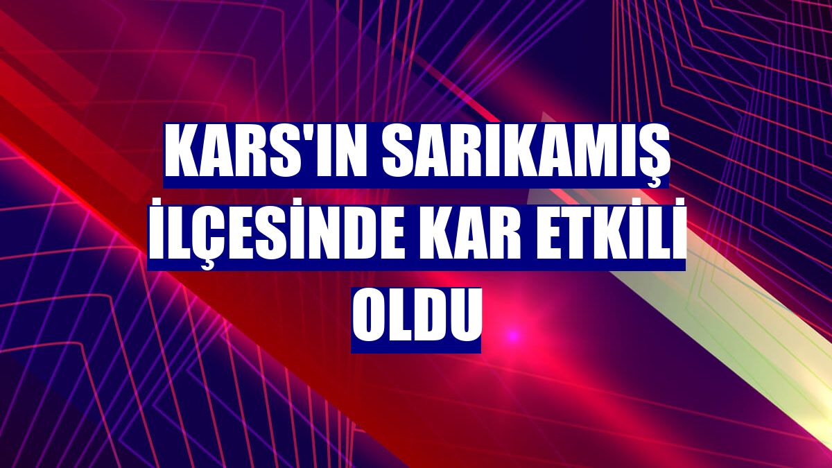 Kars'ın Sarıkamış ilçesinde kar etkili oldu
