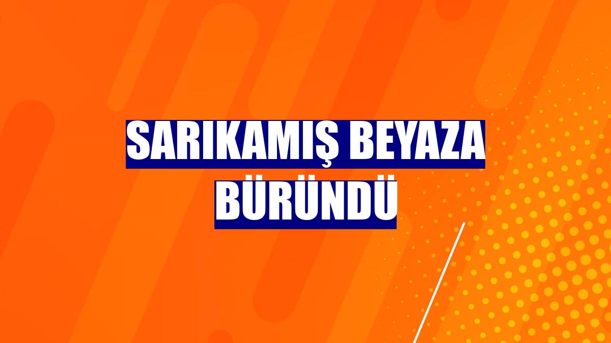 Sarıkamış beyaza büründü