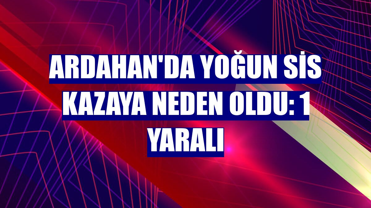 Ardahan'da yoğun sis kazaya neden oldu: 1 yaralı