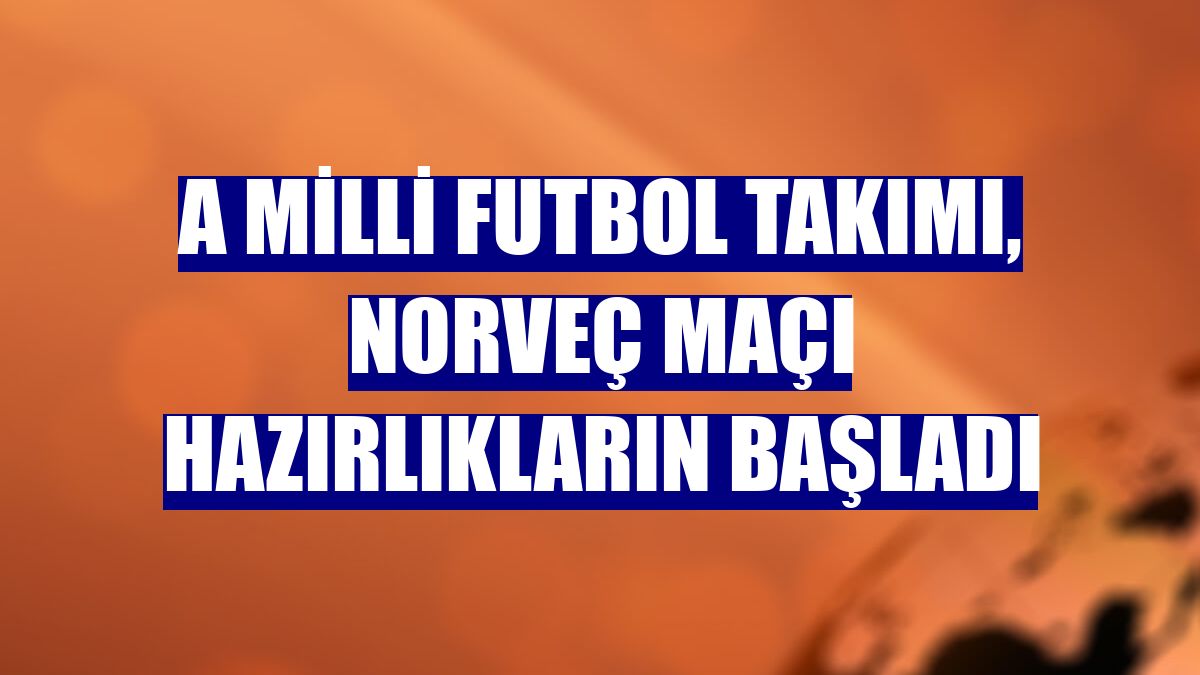 A Milli Futbol Takımı, Norveç maçı hazırlıkların başladı