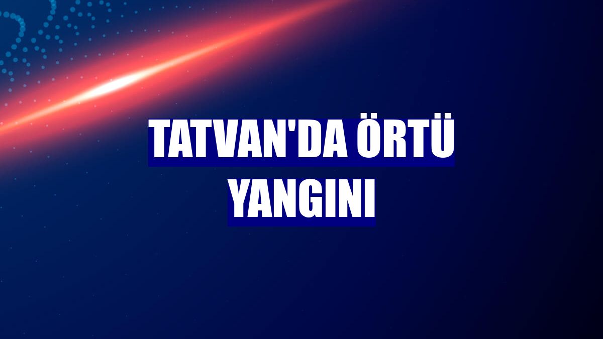 Tatvan'da örtü yangını