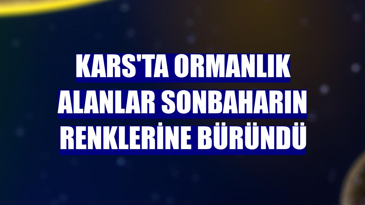 Kars'ta ormanlık alanlar sonbaharın renklerine büründü