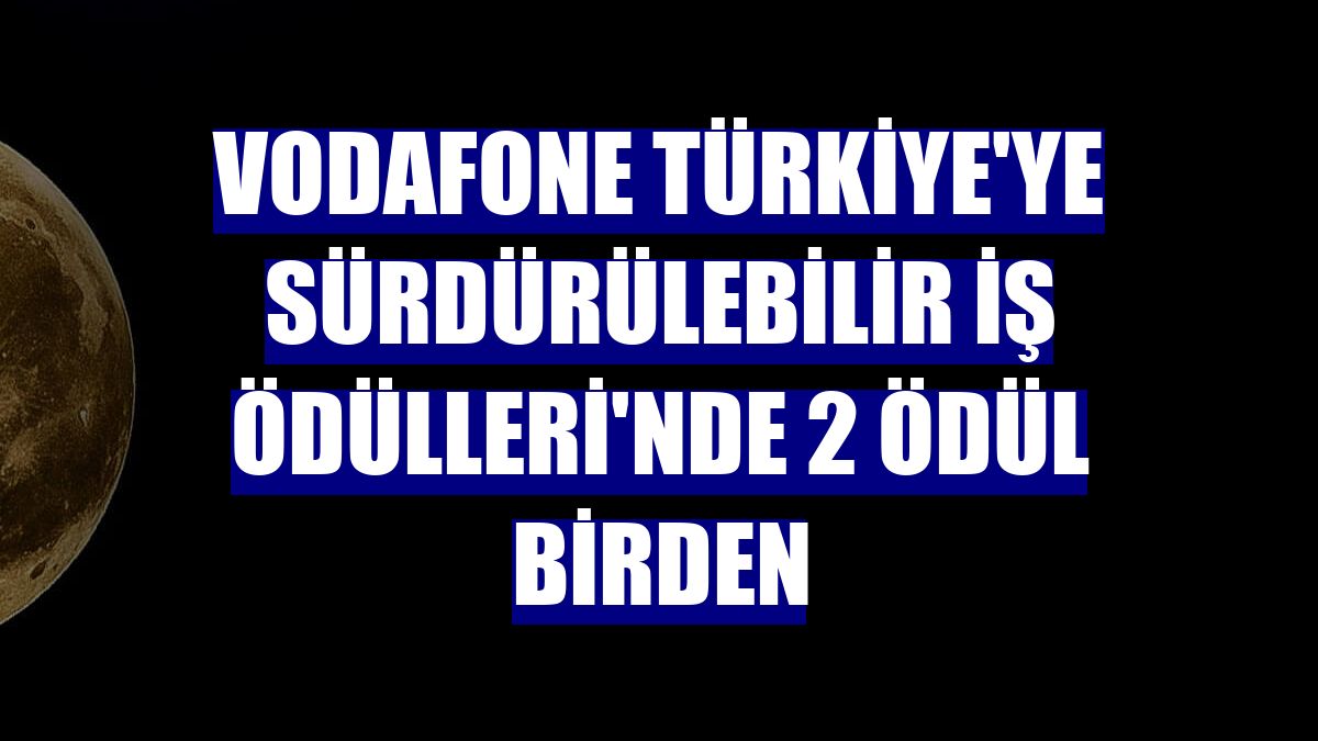 Vodafone Türkiye'ye Sürdürülebilir İş Ödülleri'nde 2 ödül birden
