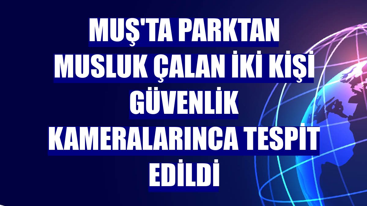 Muş'ta parktan musluk çalan iki kişi güvenlik kameralarınca tespit edildi