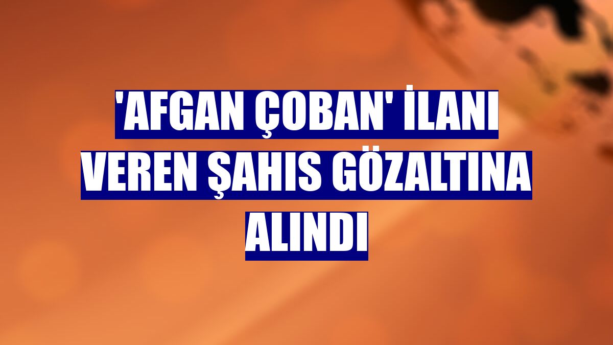 'Afgan çoban' ilanı veren şahıs gözaltına alındı