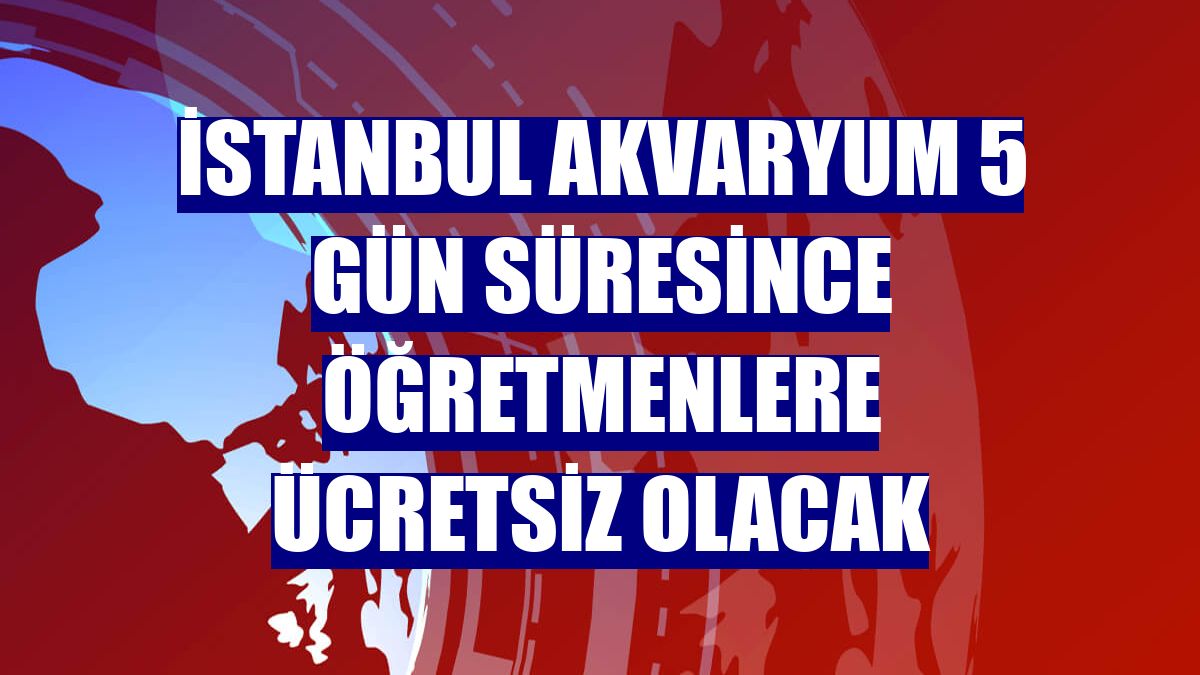 İstanbul Akvaryum 5 gün süresince öğretmenlere ücretsiz olacak