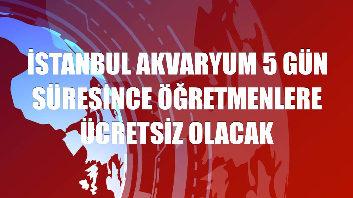 İstanbul Akvaryum 5 gün süresince öğretmenlere ücretsiz olacak
