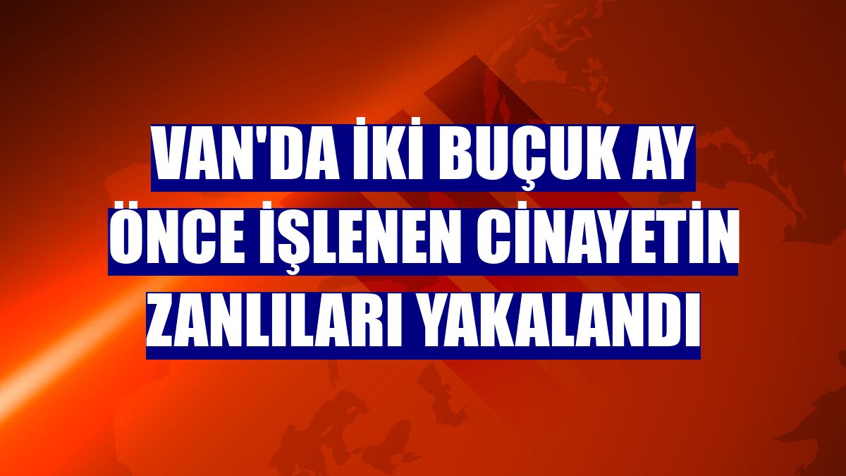 Van'da iki buçuk ay önce işlenen cinayetin zanlıları yakalandı