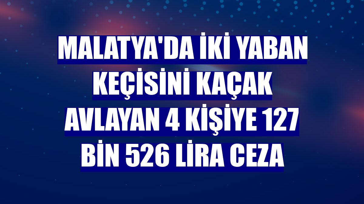 Malatya'da iki yaban keçisini kaçak avlayan 4 kişiye 127 bin 526 lira ceza