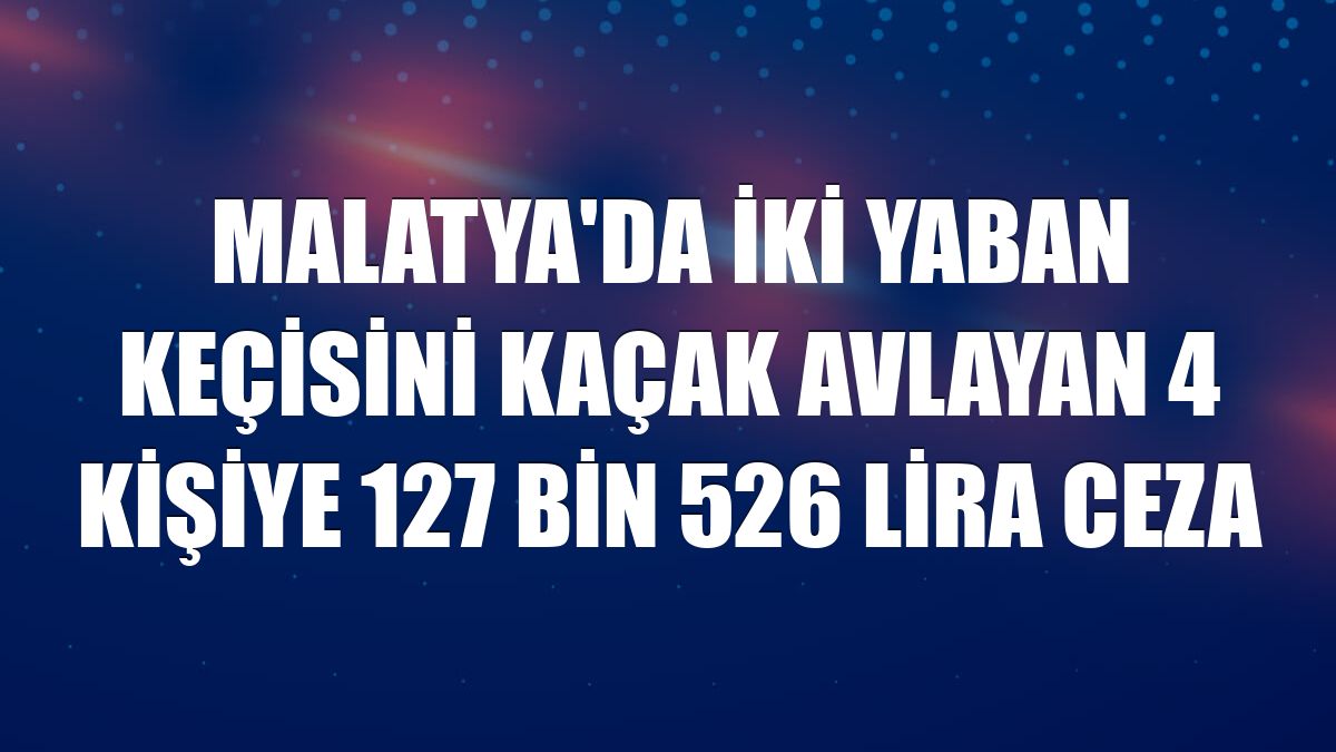 Malatya'da iki yaban keçisini kaçak avlayan 4 kişiye 127 bin 526 lira ceza