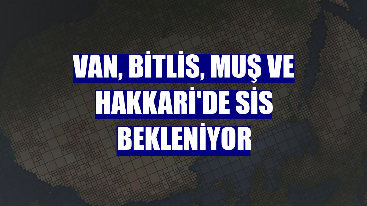 Van, Bitlis, Muş ve Hakkari'de sis bekleniyor