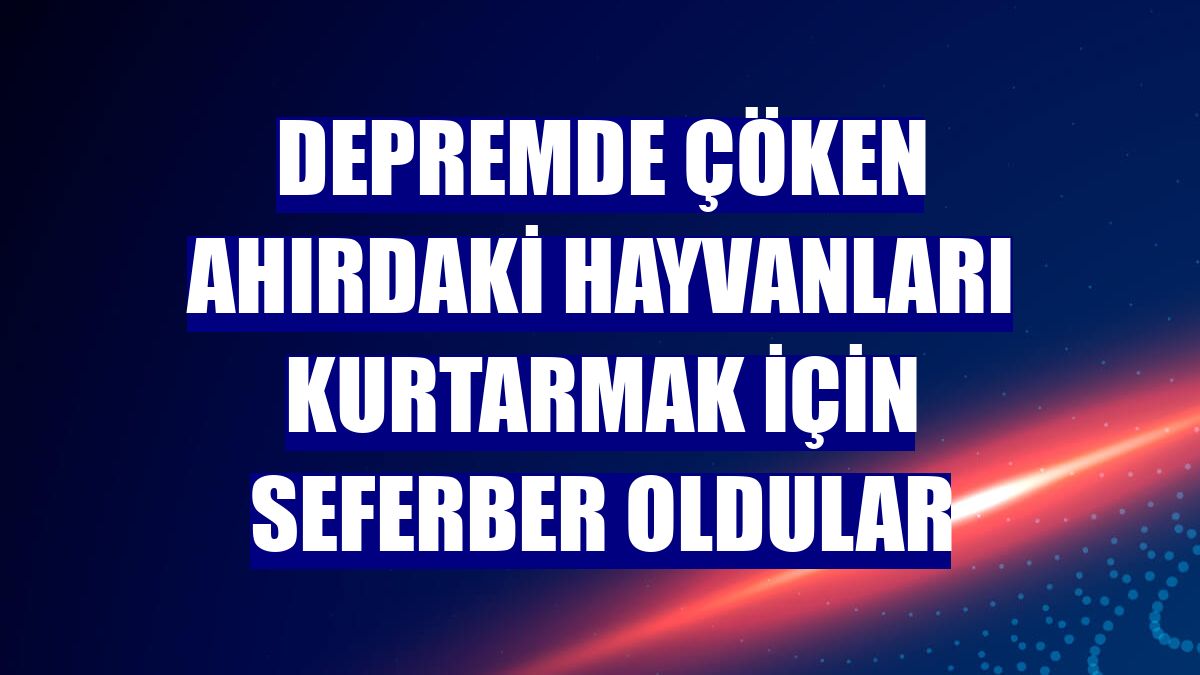 Depremde çöken ahırdaki hayvanları kurtarmak için seferber oldular