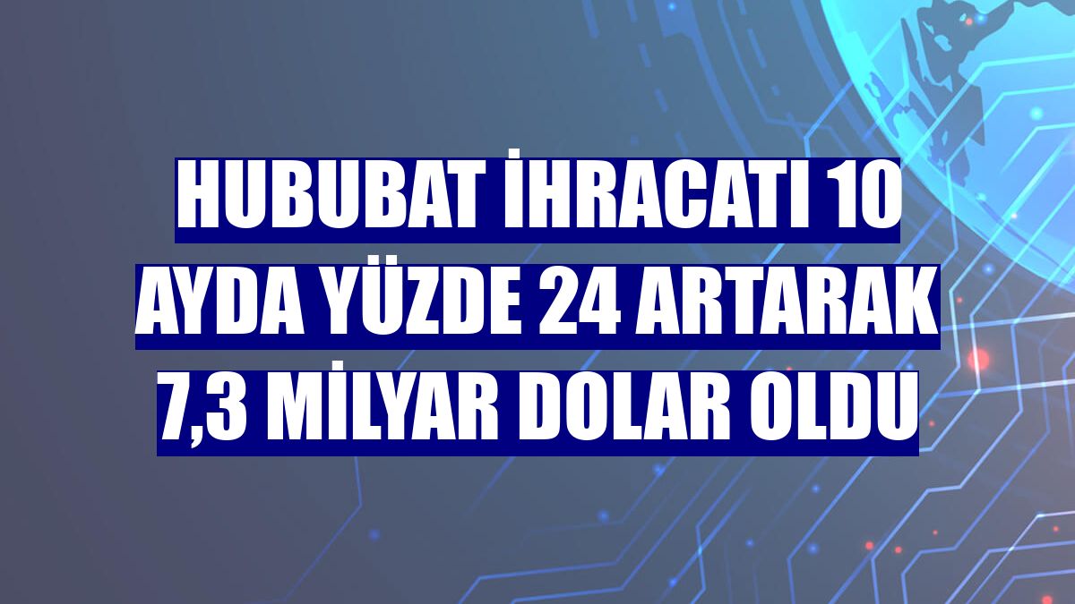 Hububat ihracatı 10 ayda yüzde 24 artarak 7,3 milyar dolar oldu