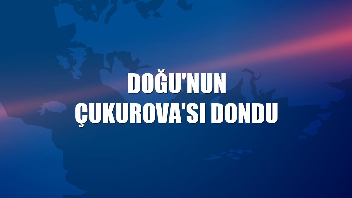 Doğu'nun Çukurova'sı dondu